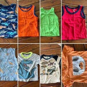 Garanimals & Amazon Essentials Boys 2T Lot of 8 Dinosaur Animal Tops
